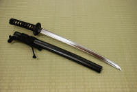 Nyumon Wakizashi - Click for larger picture!