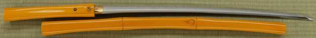 Bamboo Stick