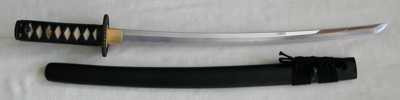 Practical Plus Wakizashi