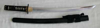Tsunami Wakizashi