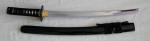Wind and Thunder Wakizashi