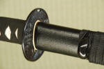Raptor Wakizashi (Shord Sword)